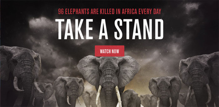 96 Elephants