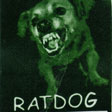 Ratdog