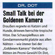 Dr. Dot: Small Talk bei der Goldenen Kamera